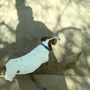 Meet your Posher, Marcos